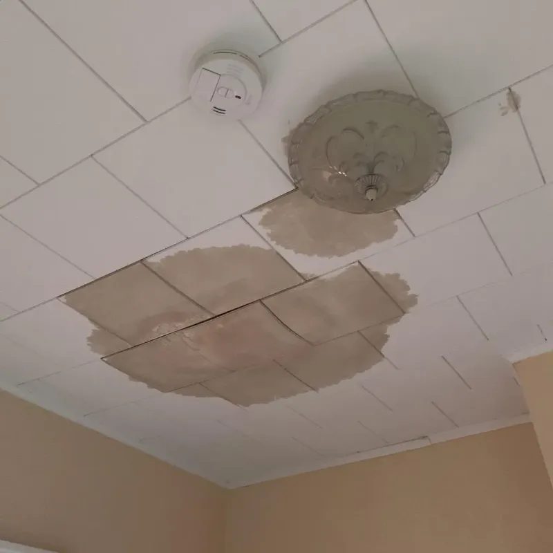 Ceiling Water Damage Repair in Sheffield, IA
