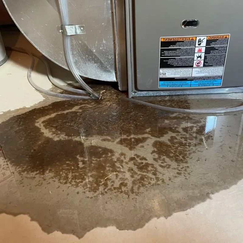 Pipe Burst and Leak Restoration in Sheffield, IA